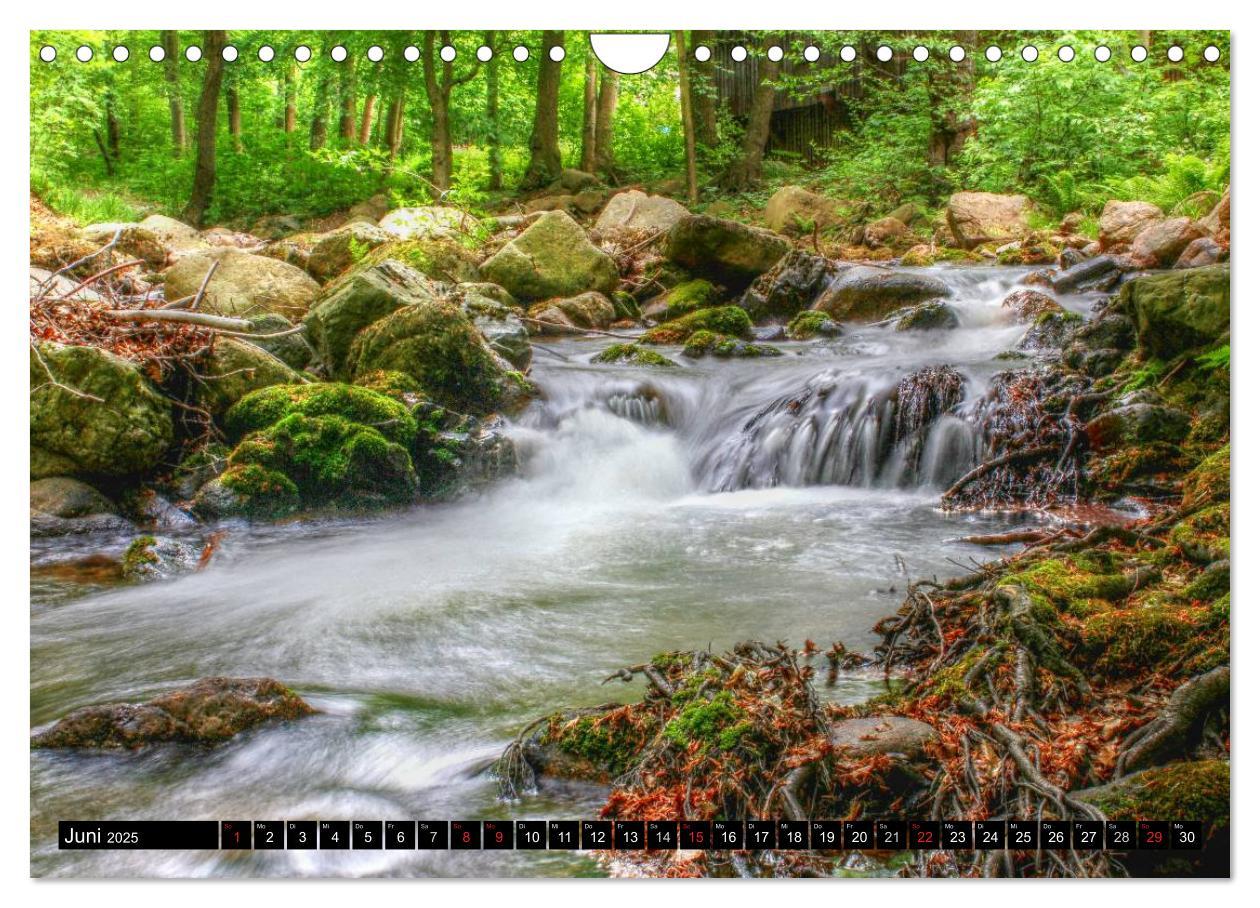 Bild: 9783435582365 | Verzauberter Harz (Wandkalender 2025 DIN A4 quer), CALVENDO...