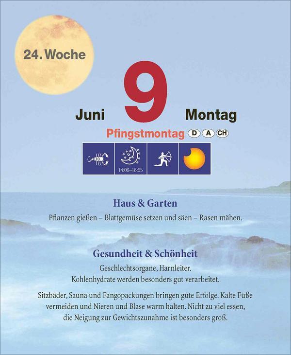 Bild: 9783731877448 | Mond Abreißkalender 2025 | Verlag Korsch | Kalender | 328 S. | Deutsch