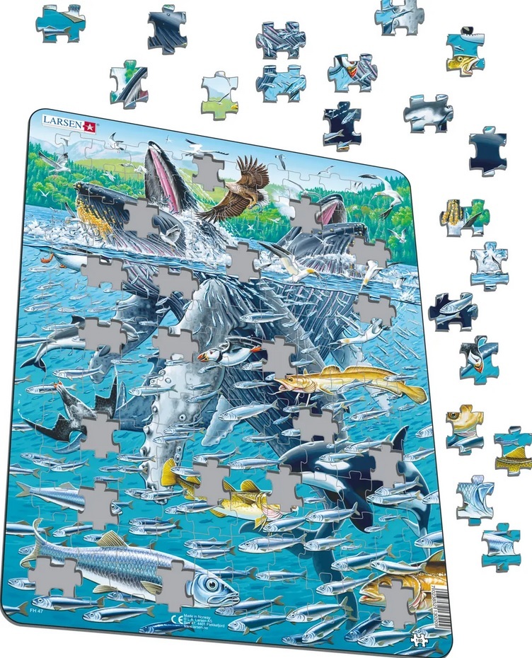 Cover: 7023852130209 | Puzzle - Buckelwale und Heringe | Puzzle | 2020 | Larsen