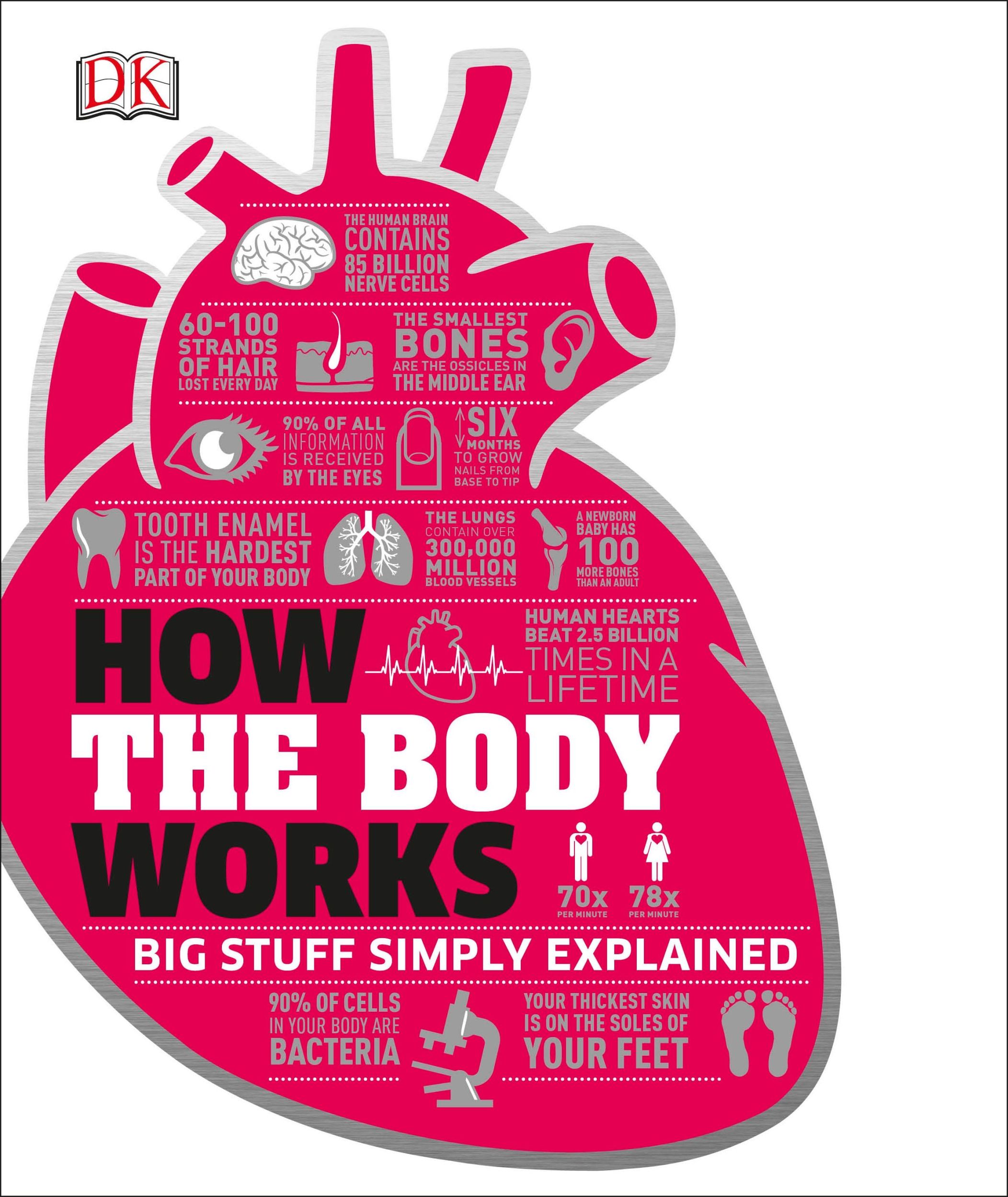 Cover: 9780241188019 | How the Body Works | The Facts visually explained | Smith | Buch