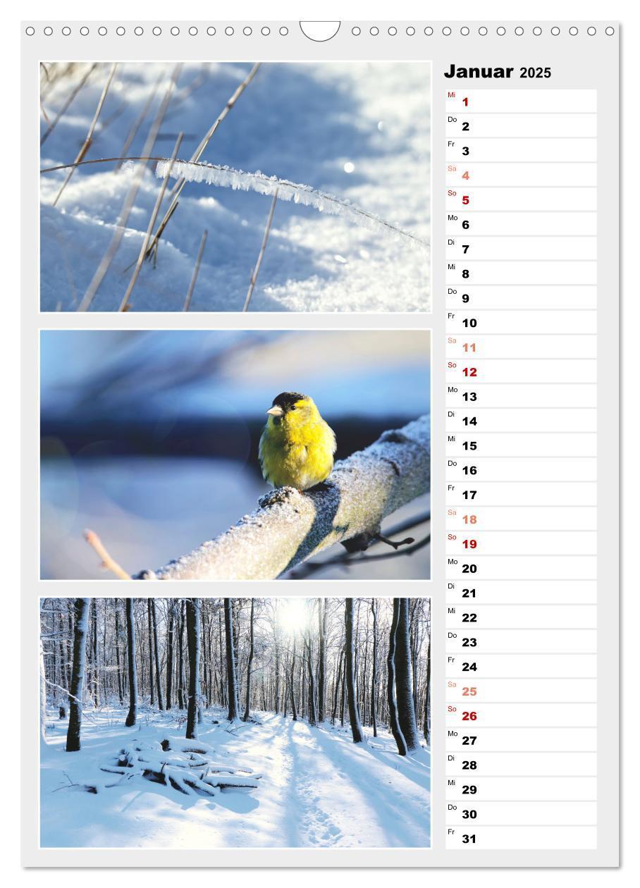 Bild: 9783435889280 | Zauberhafte Farben der Natur (Wandkalender 2025 DIN A3 hoch),...