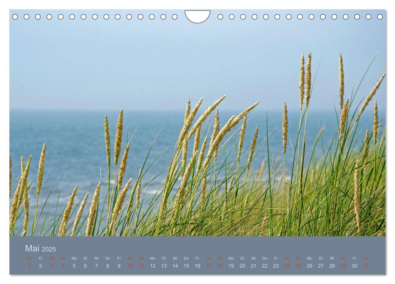 Bild: 9783435430895 | Tag am Meer (Wandkalender 2025 DIN A4 quer), CALVENDO Monatskalender