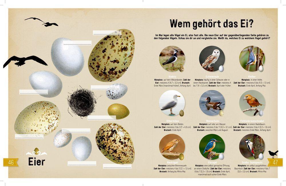 Bild: 9783959390729 | NATUR | Entdecken - Verstehen - Mitmachen | Borkulo | Taschenbuch