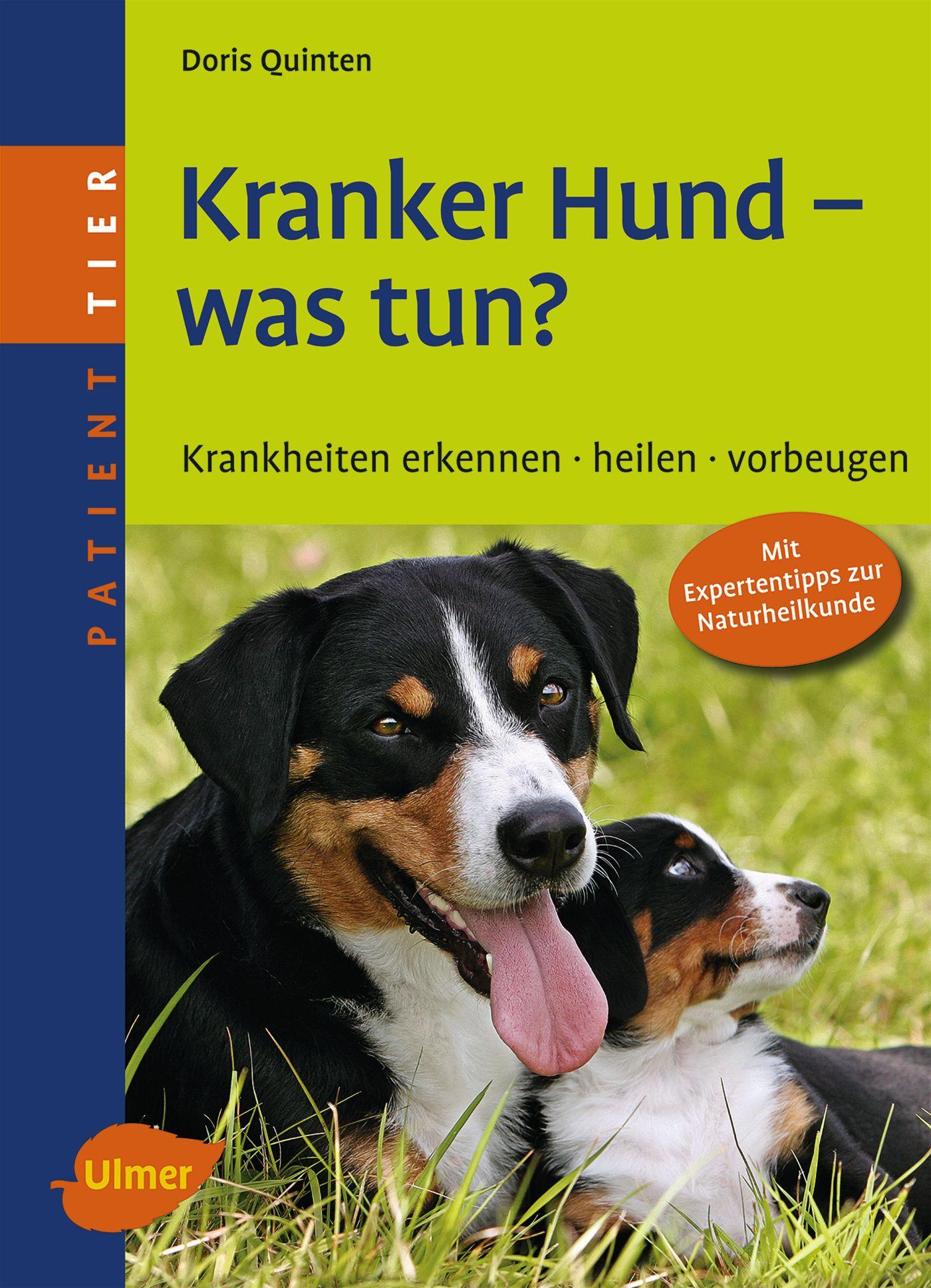 Cover: 9783800159048 | Kranker Hund - was tun? | Krankheiten erkennen, heilen, vorbeugen