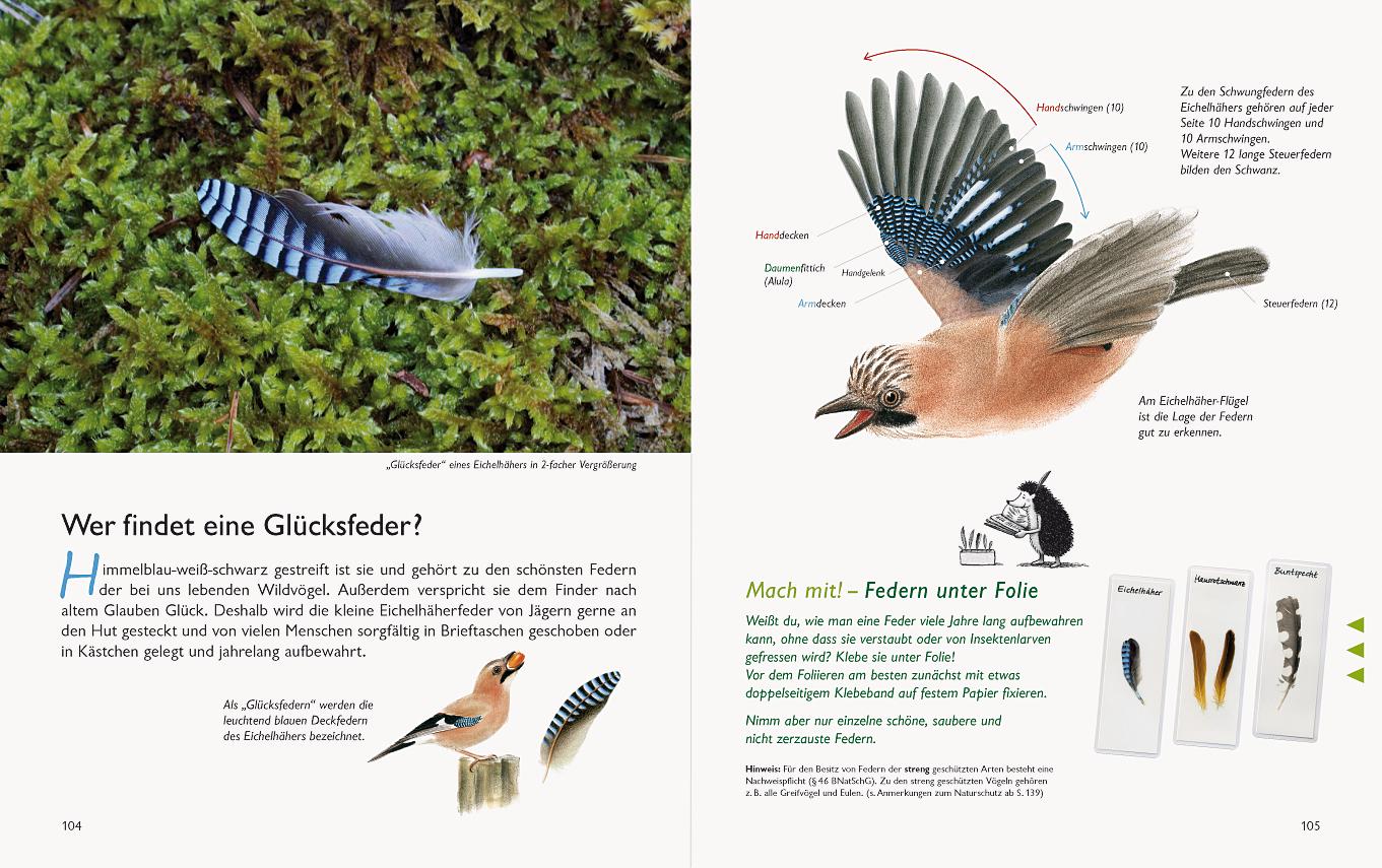 Bild: 9783981548570 | Wawra's Naturbuch, Band 1: Säugetiere, Vögel, Reptilien, Amphibien