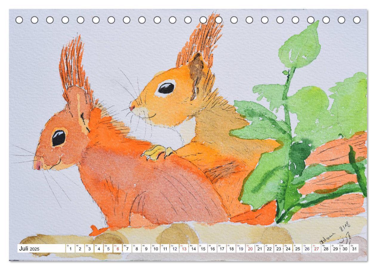 Bild: 9783435404124 | Eichhörnchen in Aquarell (Tischkalender 2025 DIN A5 quer), CALVENDO...