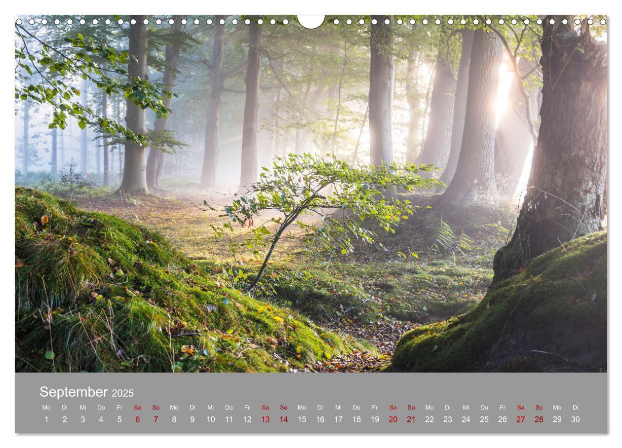 Bild: 9783435019113 | Ostfrieslandmomente 2025 (Wandkalender 2025 DIN A3 quer), CALVENDO...