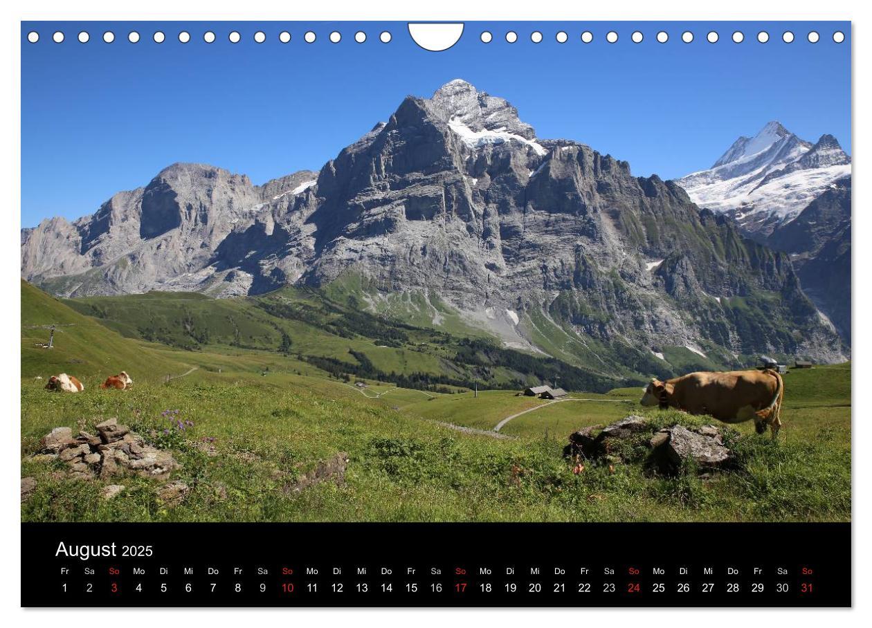 Bild: 9783435771059 | Berner Oberland (Wandkalender 2025 DIN A4 quer), CALVENDO...