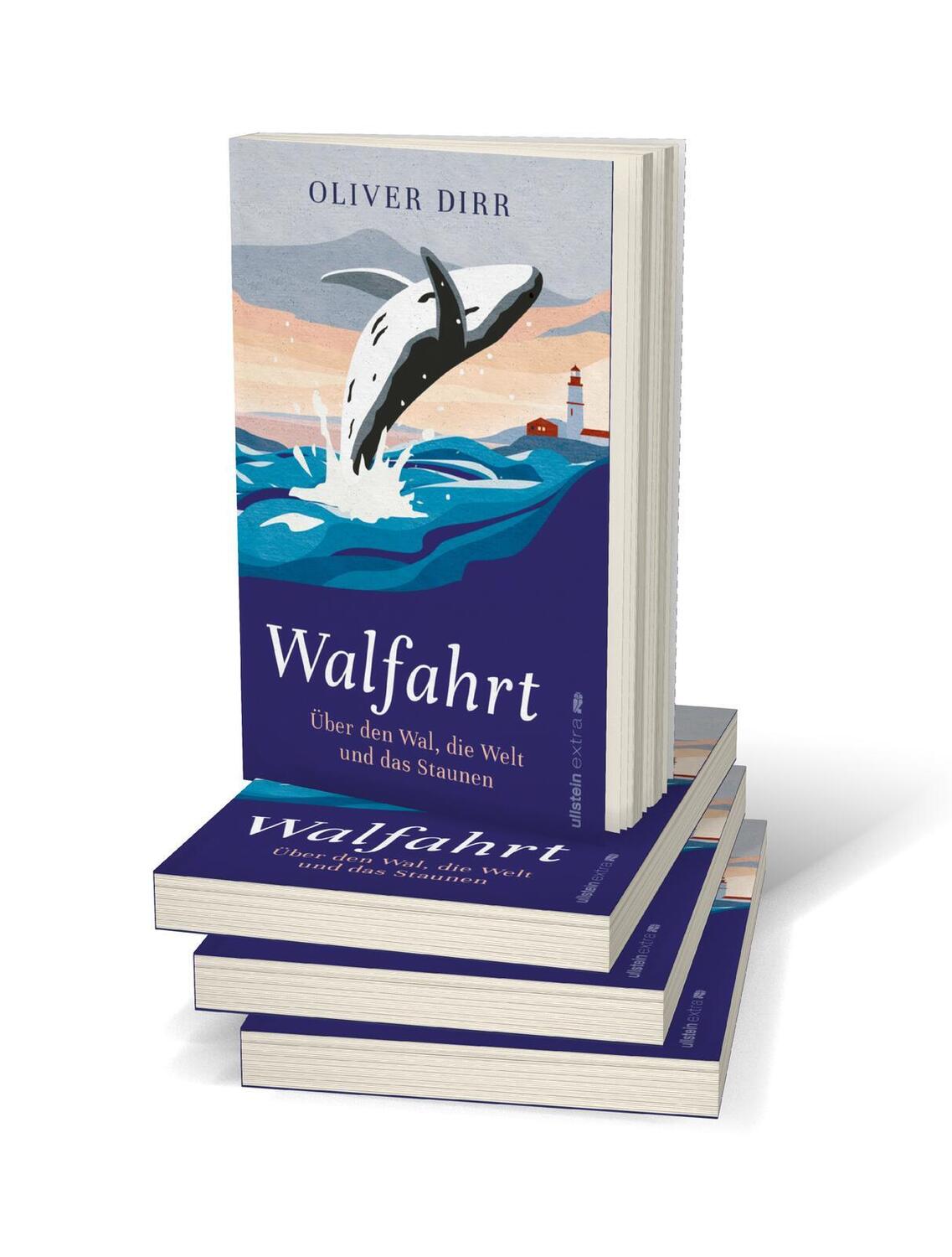 Bild: 9783864931857 | Walfahrt | Oliver Dirr | Taschenbuch | 304 S. | Deutsch | 2022