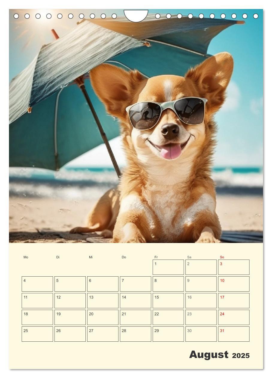 Bild: 9783435871766 | Witzige Chihuahuas. Glückliche Temperamentbündel (Wandkalender 2025...