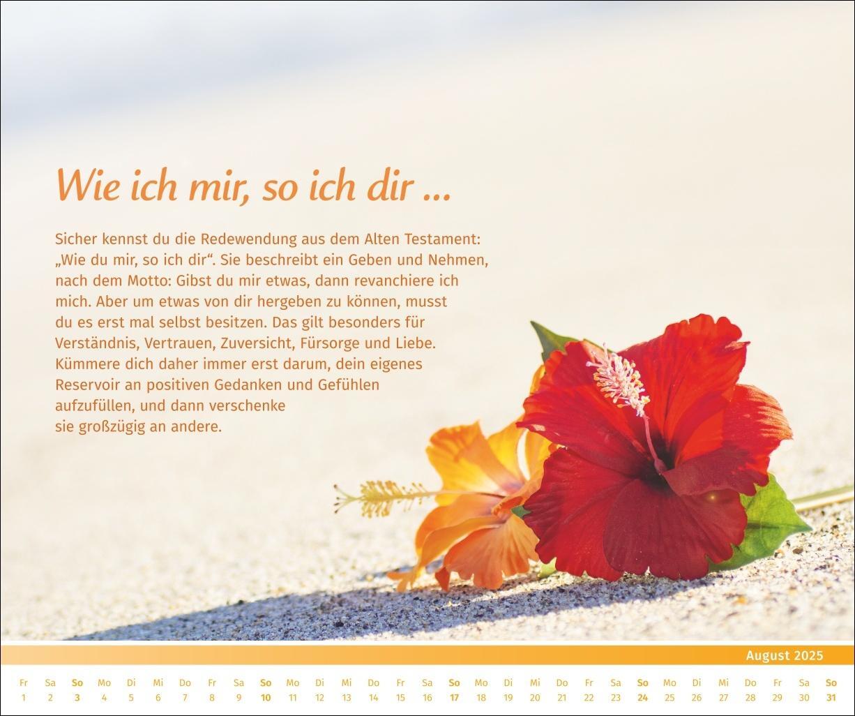 Bild: 9783840196089 | PAL - Der Lebensfreude-Inspirationen-Kalender 2025 | Pal | Kalender