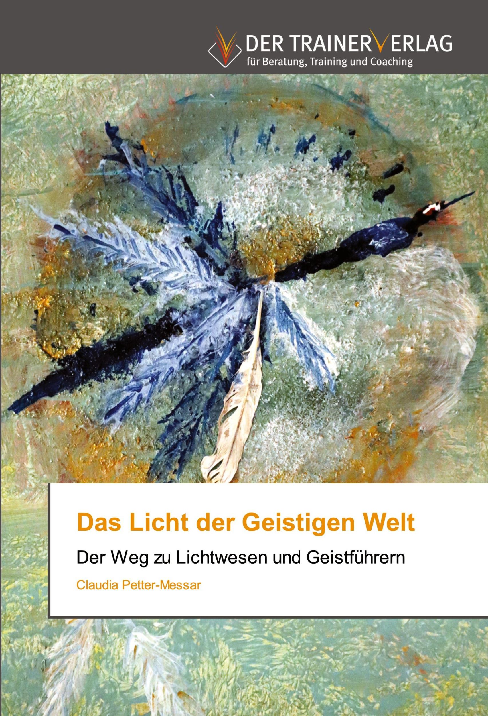 Cover: 9783841759672 | Das Licht der Geistigen Welt | Der Weg zu Lichtwesen und Geistführern