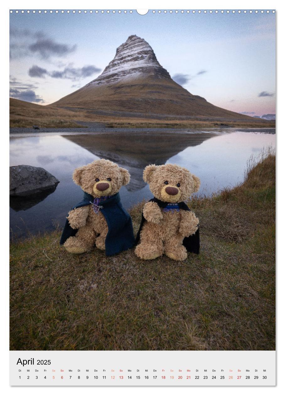 Bild: 9783457136737 | Travelling Teddy in Island (Wandkalender 2025 DIN A2 hoch),...