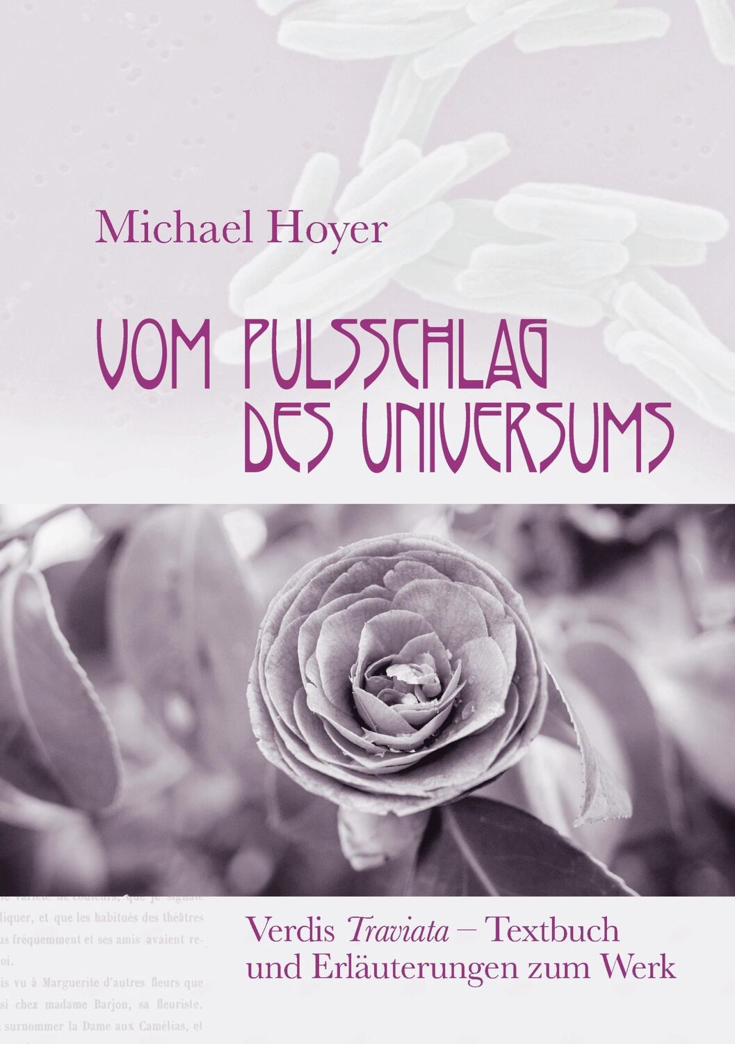 Cover: 9783743175174 | Vom Pulsschlag des Universums | Michael Hoyer | Taschenbuch | 72 S.