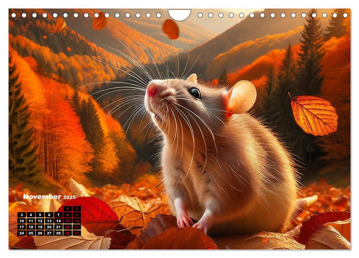 Bild: 9783383837357 | Lustige Ratten (Wandkalender 2025 DIN A4 quer), CALVENDO...