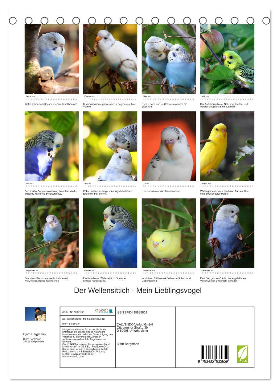 Bild: 9783435935659 | Der Wellensittich - Mein Lieblingsvogel (Tischkalender 2025 DIN A5...