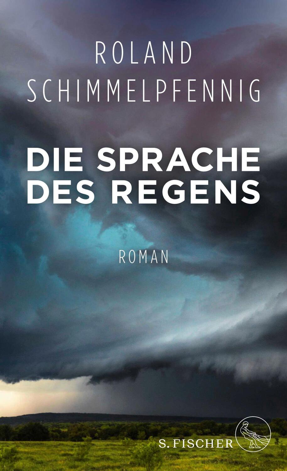 Cover: 9783103973211 | Die Sprache des Regens | Roland Schimmelpfennig | Buch | 320 S. | 2017