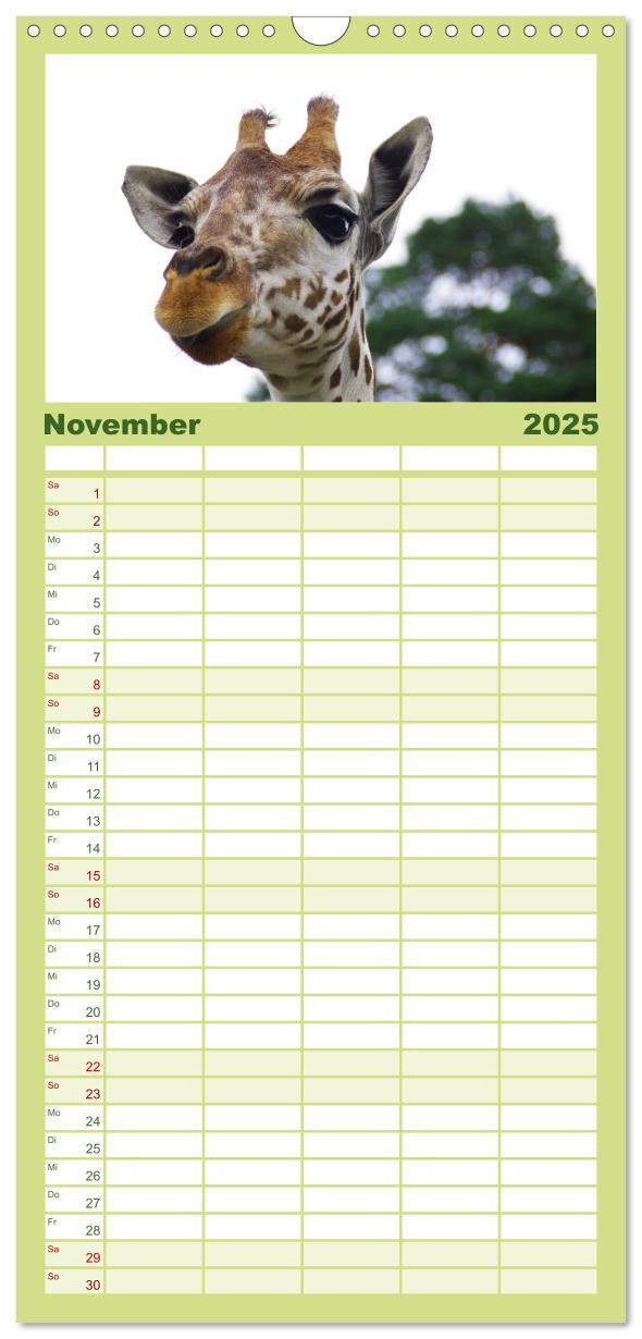 Bild: 9783457122150 | Familienplaner 2025 - Welt der Tiere mit 5 Spalten (Wandkalender,...