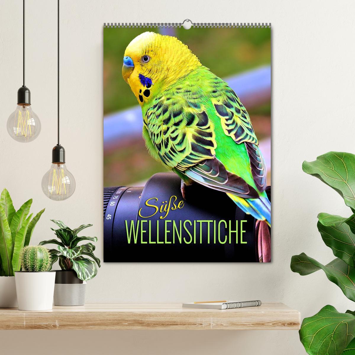 Bild: 9783435887668 | Süße Wellensittiche (Wandkalender 2025 DIN A2 hoch), CALVENDO...