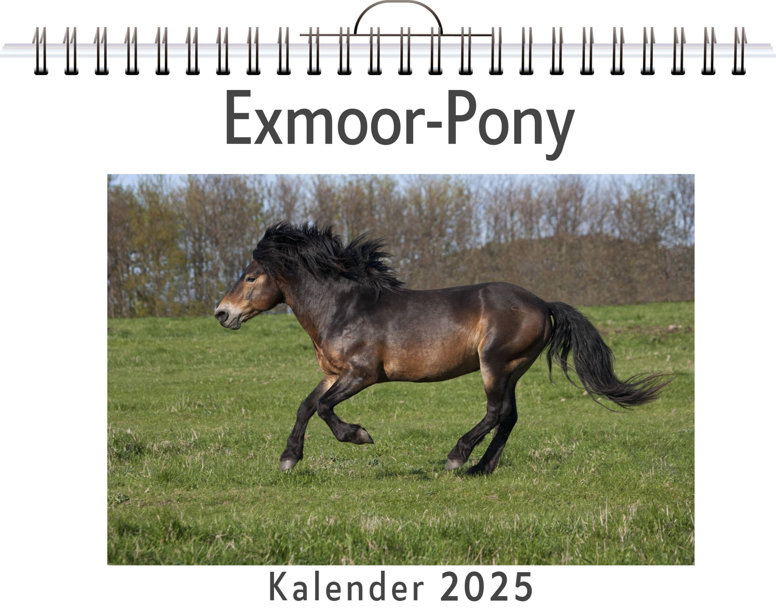 Cover: 9783759132048 | Exmoor-Pony | Louis Huber | Kalender | Kalender | 14 S. | Deutsch