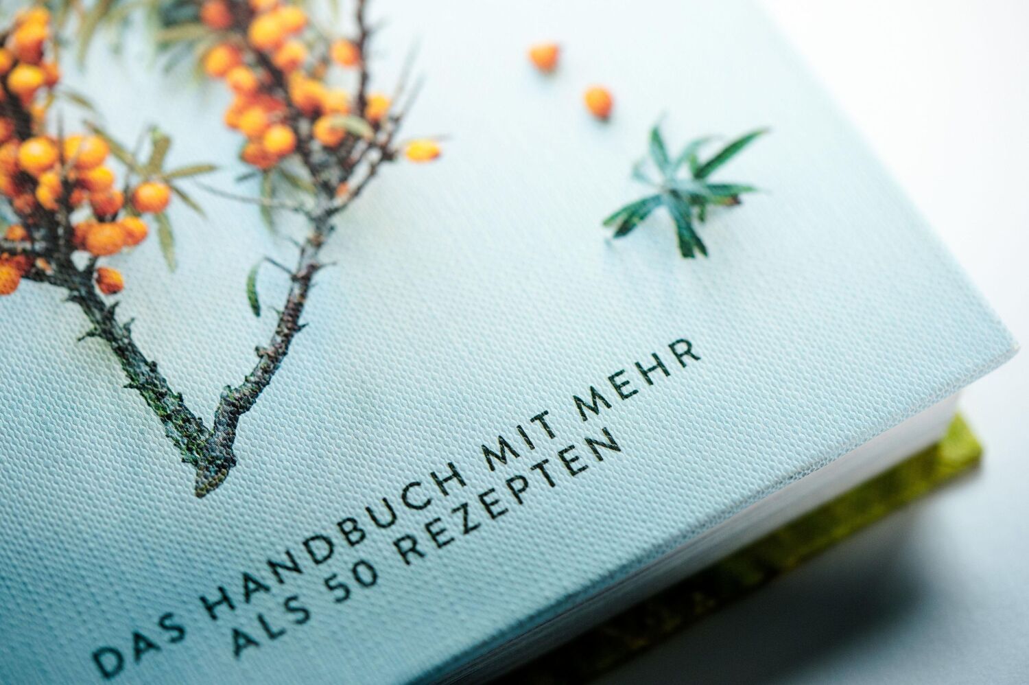 Bild: 9783517098470 | Wildpflanzen essen | Das Handbuch mit mehr als 50 Rezepten | Buch