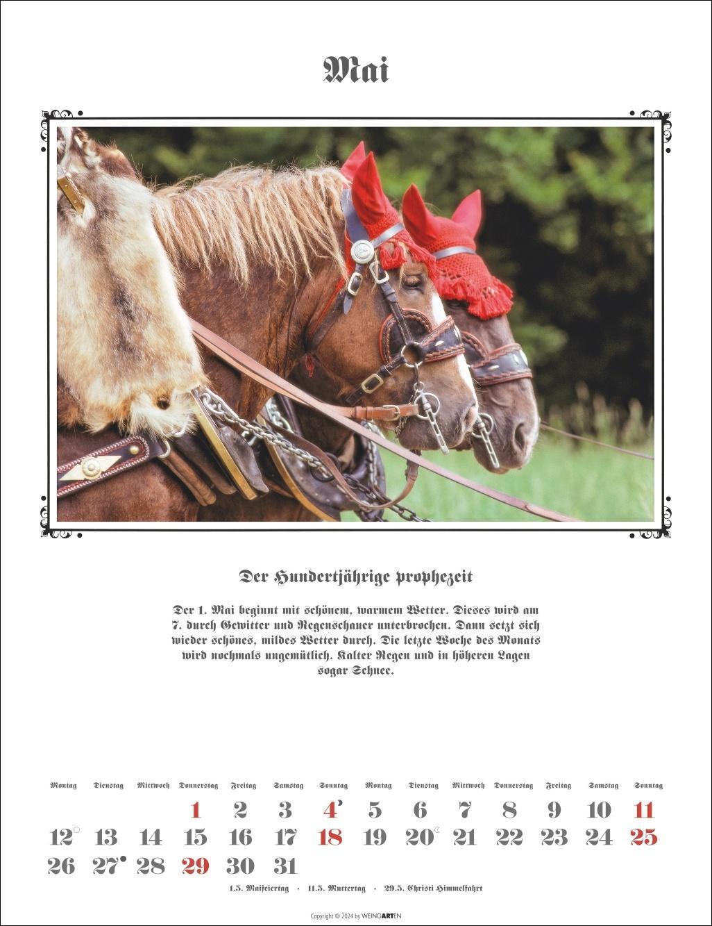 Bild: 9783839900482 | Der Hundertjährige Kalender 2025 | Kalender | Spiralbindung | 14 S.