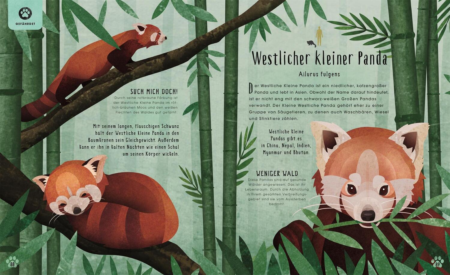 Bild: 9783831046812 | Tiere: 50 Geschichten über Mammut, Panda, Elefant und Co. | Bittel