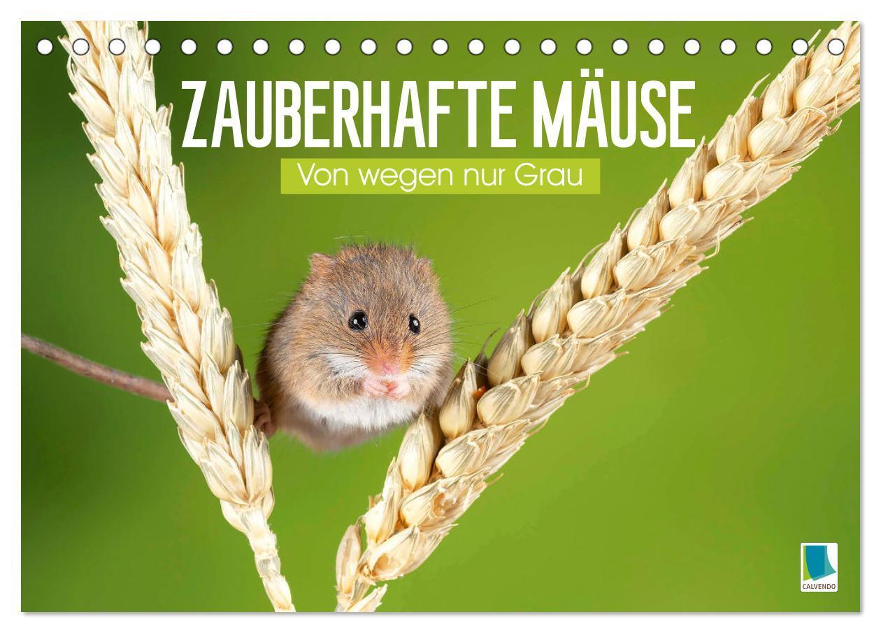 Cover: 9783457198001 | Zauberhafte Mäuse: Von wegen nur Grau (Tischkalender 2025 DIN A5...