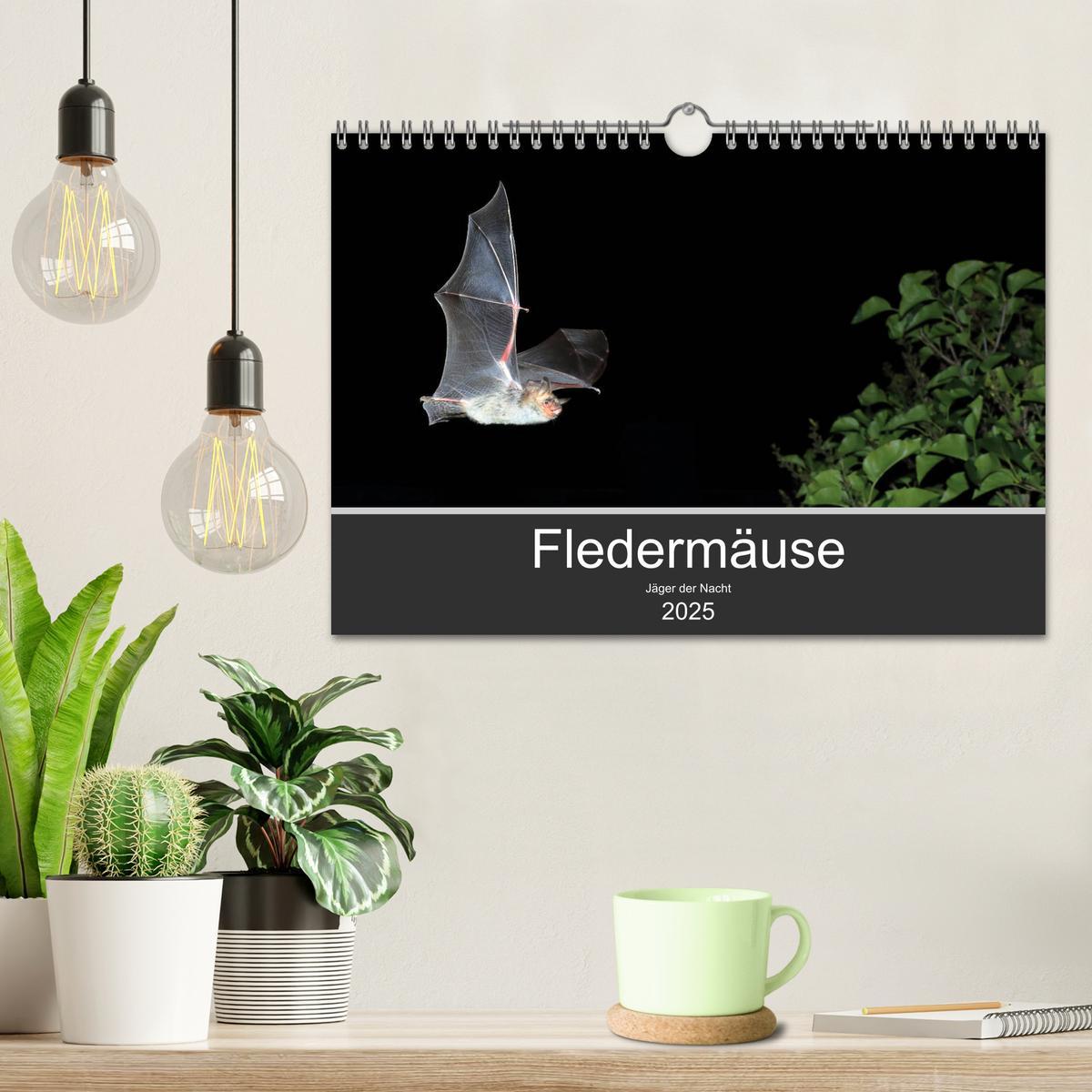 Bild: 9783435347827 | Fledermäuse - Jäger der Nacht (Wandkalender 2025 DIN A4 quer),...