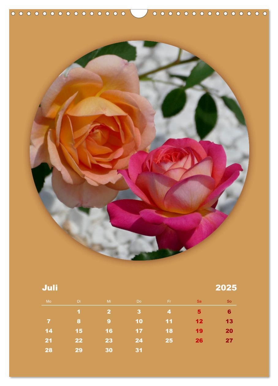 Bild: 9783435897186 | Rundherum Natur (Wandkalender 2025 DIN A3 hoch), CALVENDO...