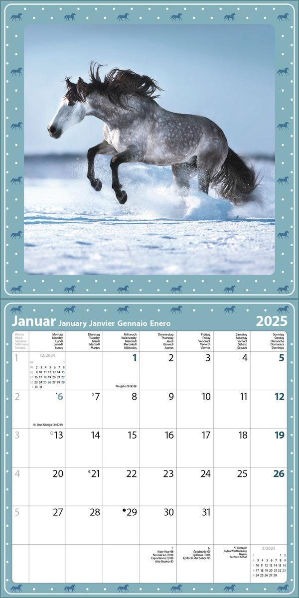 Bild: 9783731880141 | Pferdekalender 2025 | Verlag Korsch | Kalender | 13 S. | Deutsch