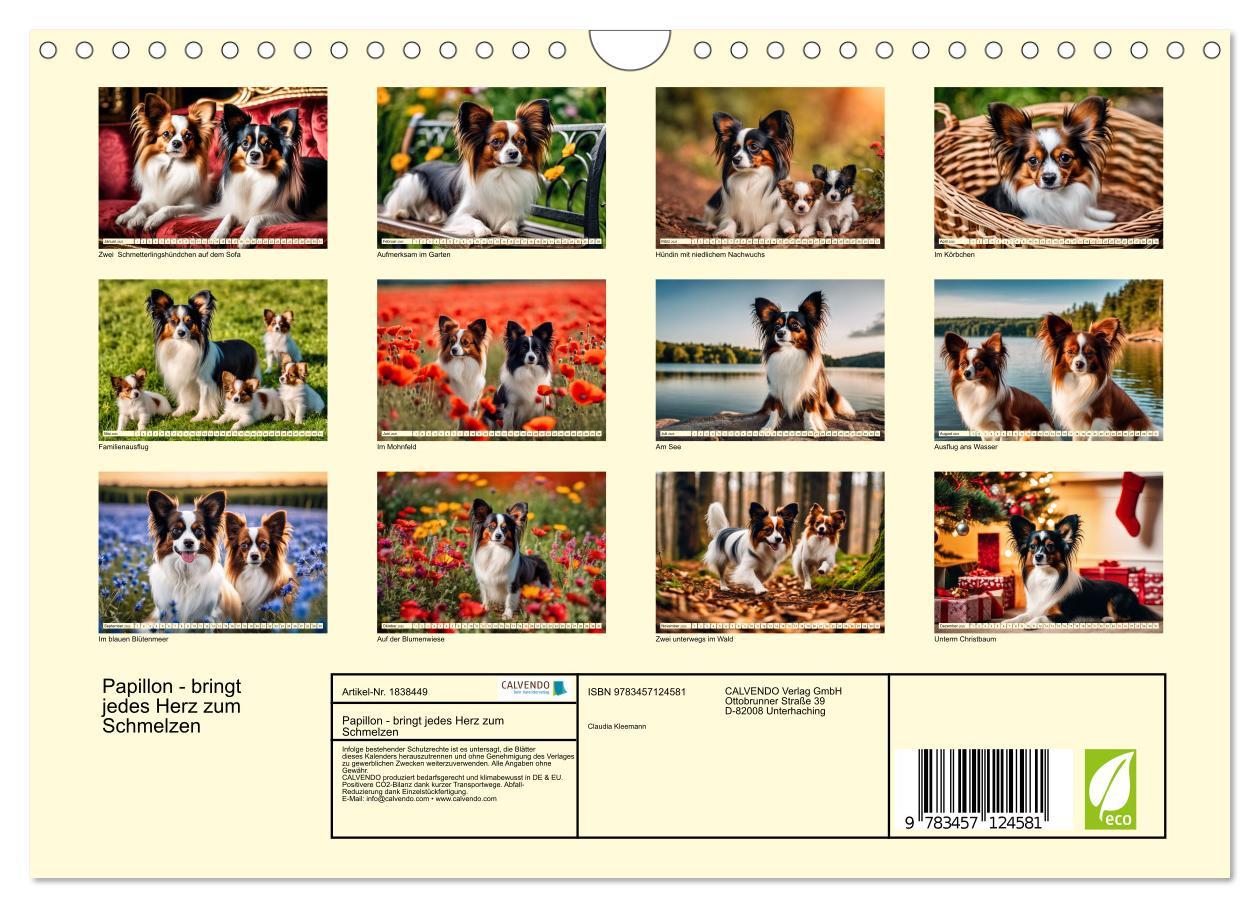 Bild: 9783457124581 | Papillon - bringt jedes Herz zum Schmelzen (Wandkalender 2025 DIN...