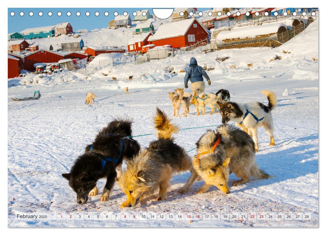 Bild: 9781325937998 | Greenland Dog - The Sled Dogs of Northern Greenland (Wall Calendar...