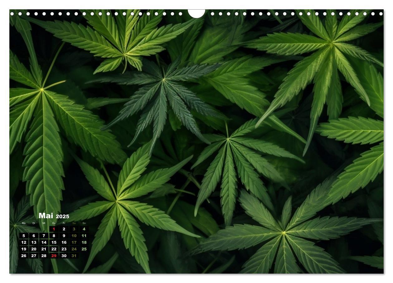 Bild: 9783383761706 | Abstrakte Natur (Wandkalender 2025 DIN A3 quer), CALVENDO...