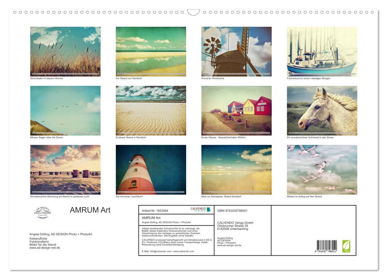 Bild: 9783435798551 | AMRUM Art (Wandkalender 2025 DIN A2 quer), CALVENDO Monatskalender