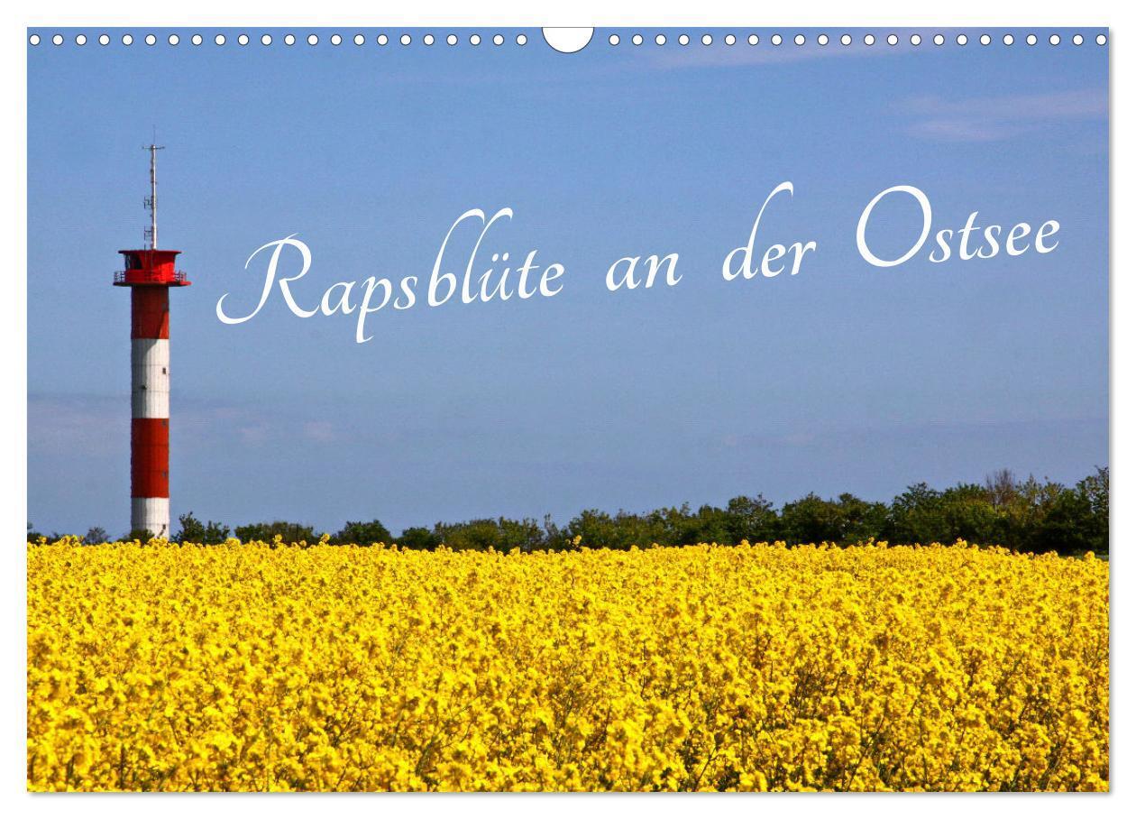 Cover: 9783435095162 | Rapsblüte an der Ostsee (Wandkalender 2025 DIN A3 quer), CALVENDO...