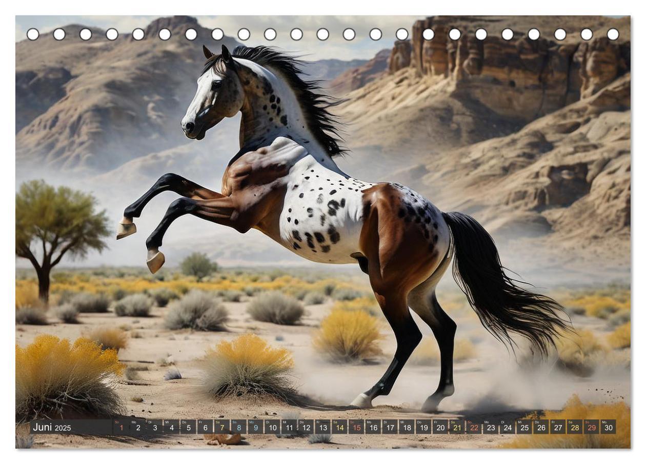 Bild: 9783457171042 | Schöne wilde Mustangs (Tischkalender 2025 DIN A5 quer), CALVENDO...