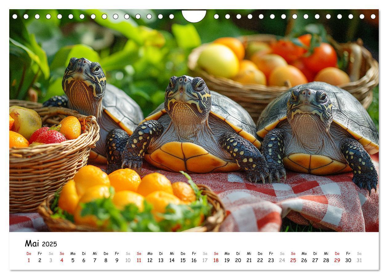 Bild: 9783457215784 | CHILL MAL - Entspannte Schildkröten beim Faulenzen (Wandkalender...