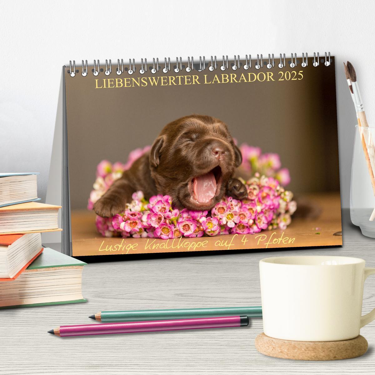 Bild: 9783435531158 | Liebenswerter Labrador 2025 (Tischkalender 2025 DIN A5 quer),...