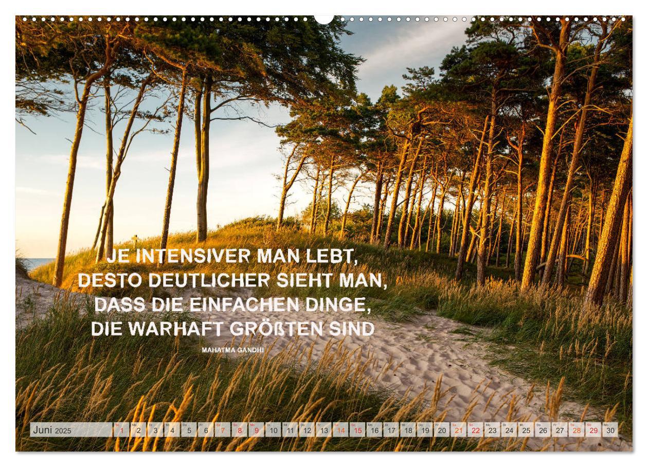 Bild: 9783435122714 | Motivation und Meer (Wandkalender 2025 DIN A2 quer), CALVENDO...