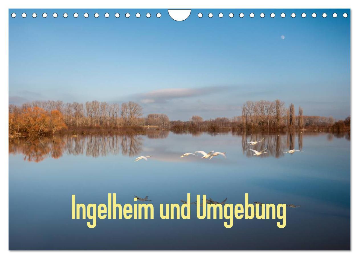 Cover: 9783435753321 | Ingelheim und Umgebung (Wandkalender 2025 DIN A4 quer), CALVENDO...