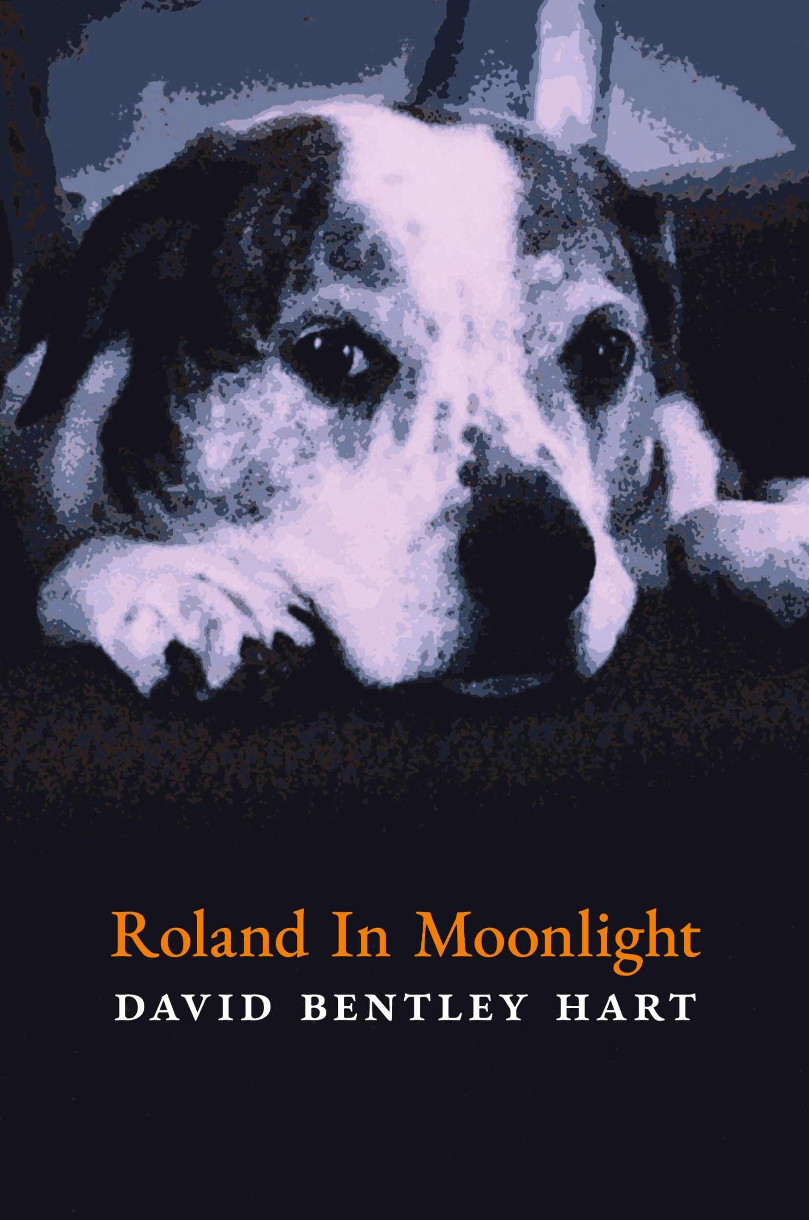 Cover: 9781621386933 | Roland in Moonlight | David Bentley Hart | Taschenbuch | Englisch