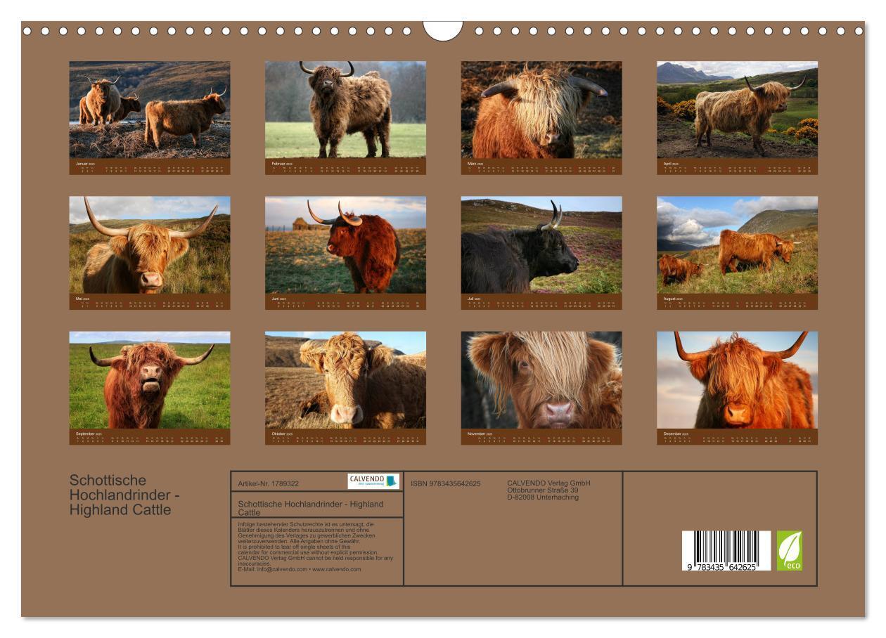 Bild: 9783435642625 | Schottische Hochlandrinder - Highland Cattle (Wandkalender 2025 DIN...