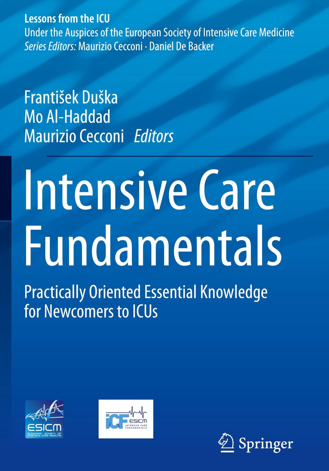 Cover: 9783031219931 | Intensive Care Fundamentals | Franti¿ek Du¿ka (u. a.) | Taschenbuch