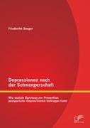 Cover: 9783842882539 | Depressionen nach der Schwangerschaft: Wie soziale Beratung zur...