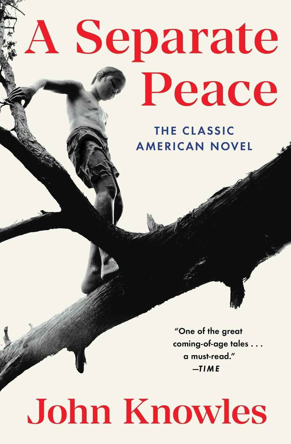 Cover: 9780743253970 | A Separate Peace | John Knowles | Taschenbuch | 216 S. | Englisch