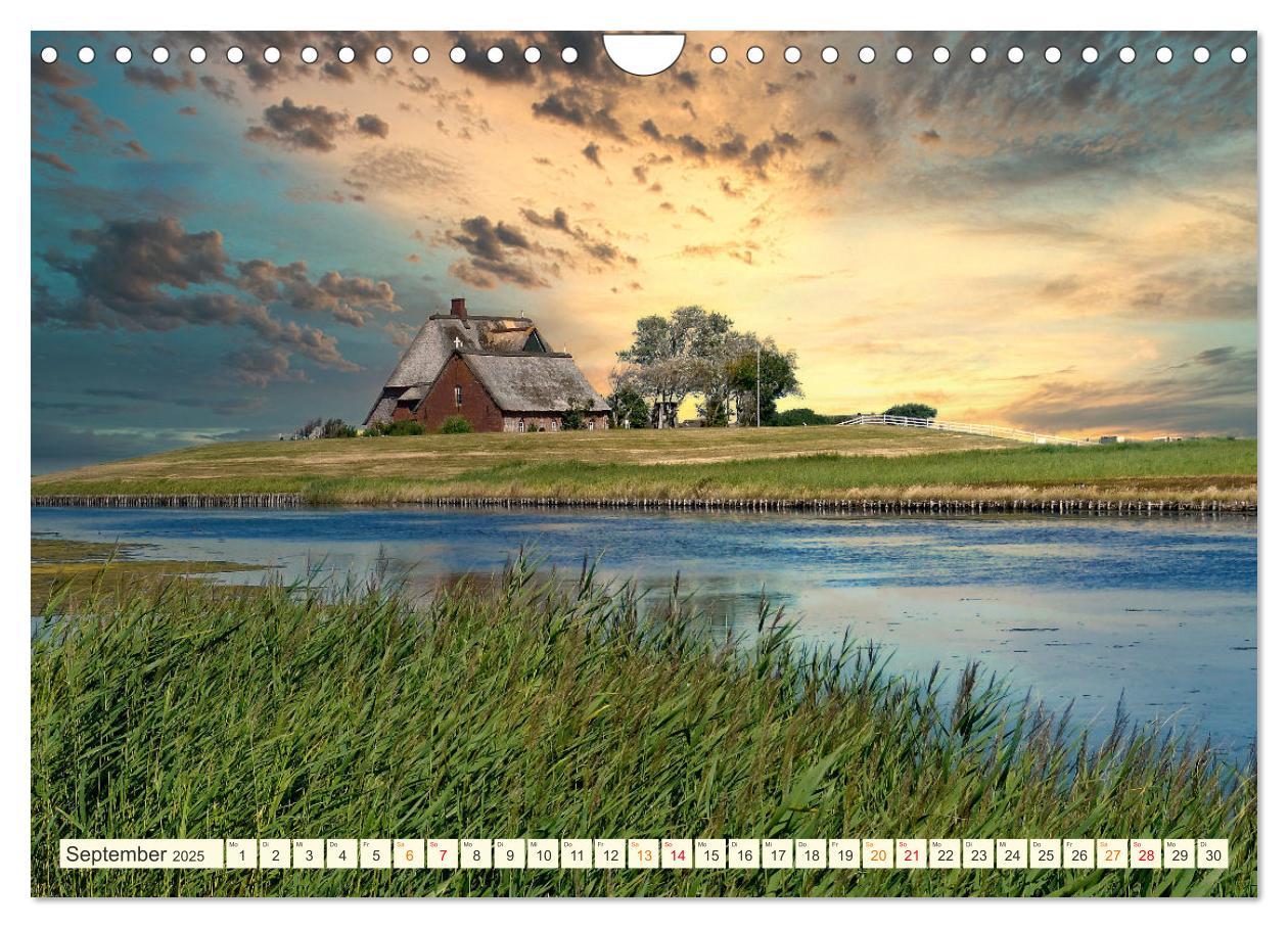 Bild: 9783435070459 | Geliebte Nordsee (Wandkalender 2025 DIN A4 quer), CALVENDO...