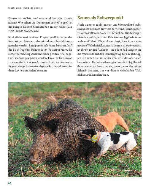 Bild: 9783958439535 | Drückjagd | Von der perfekten Vorbereitung bis zum Jagdkönig | Buch