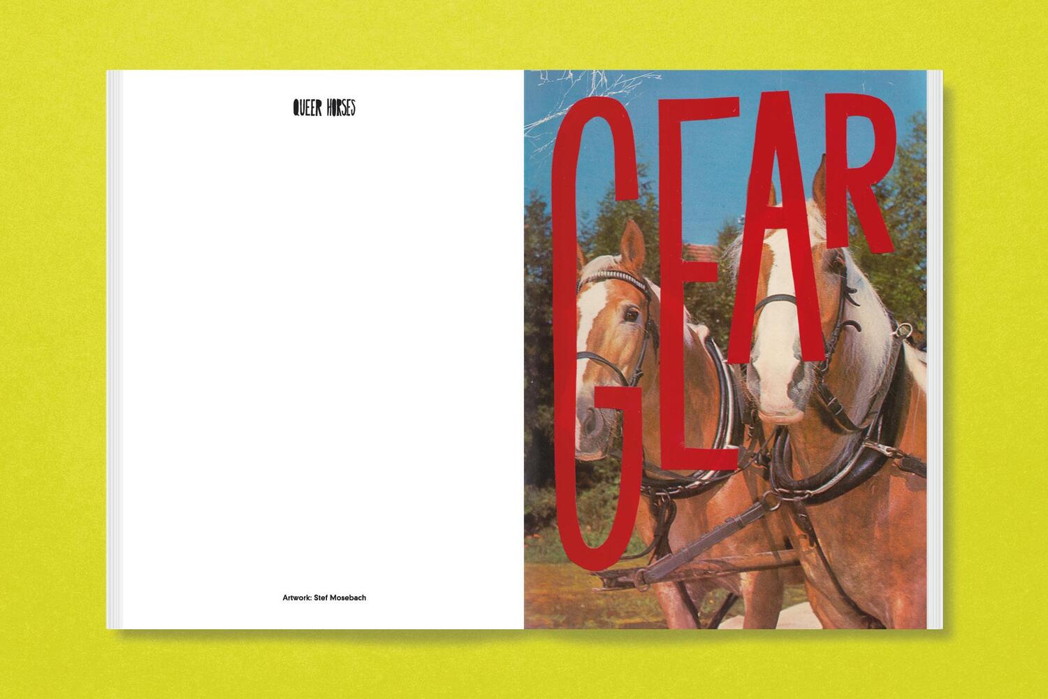 Bild: 9783987411366 | Queer Horses | Stefan Mosebach | Taschenbuch | 80 S. | Englisch | 2024