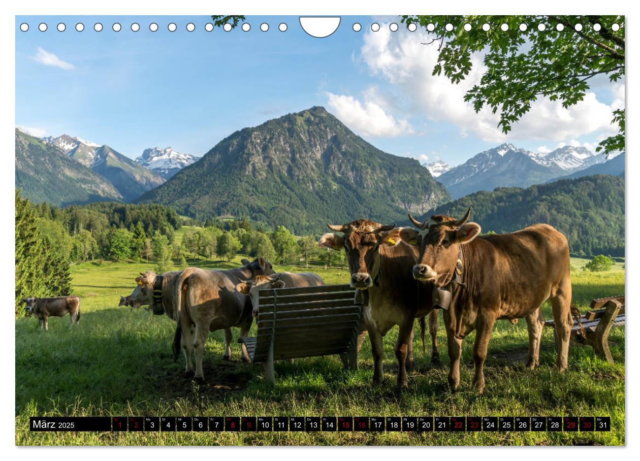 Bild: 9783435454129 | das Allgäu (Wandkalender 2025 DIN A4 quer), CALVENDO Monatskalender